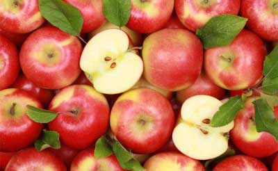 Poland plans to export apples to India after Russia ban