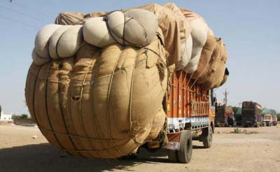 India's cotton exports likely to decline 47% in MY2014-15