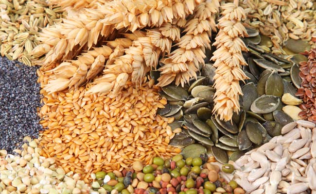 India’s cereal exports to Nepal forecast to increase sharply in 2014-15