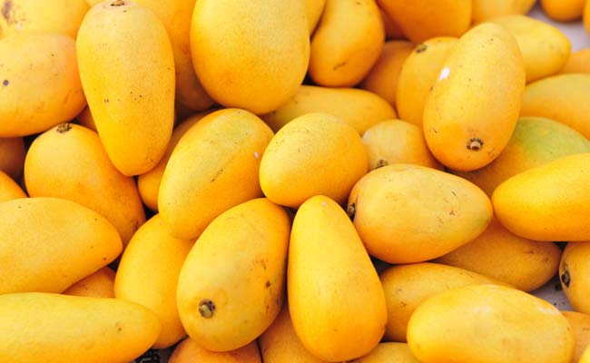 EU lifts seven-month-long ban on Indian mango imports