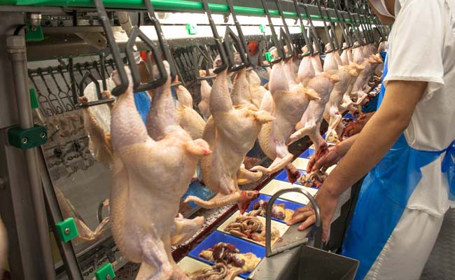 US poultry Imports: India likely to challenge WTO ruling