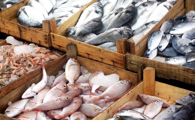 Will make AP the leading exporter of seafood: Chandrababu Naidu