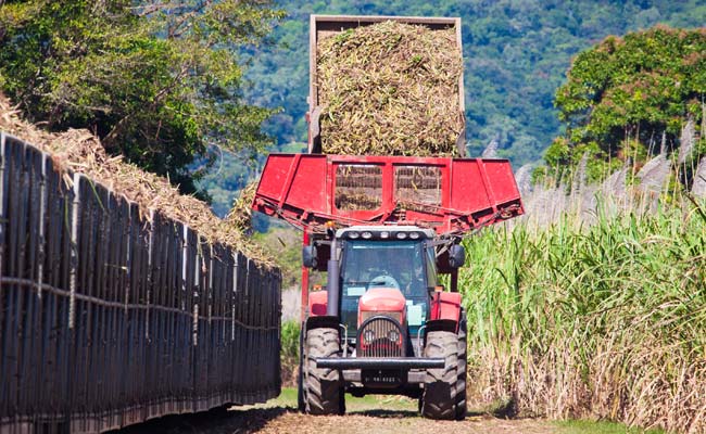 Government incentives to boost sugar exports
