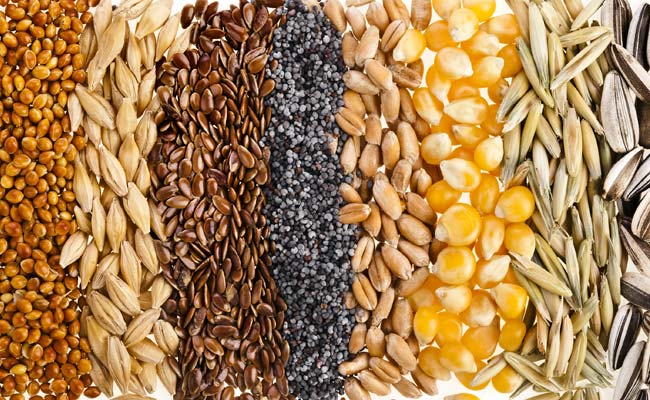 Excess food grain stocks set to meet domestic needs