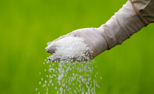 Government for promotion of domestic fertilizers