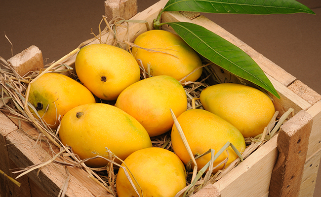 India’s mango exports to face the heat of bad weather