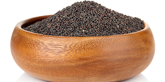 China lifts ban on rapeseeds: Do Indian exporters care?