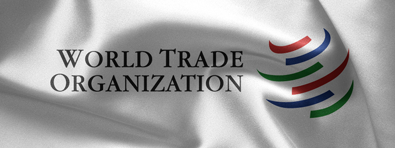 Trade Facilitation Agreement will reduce transaction costs: WTO Chief