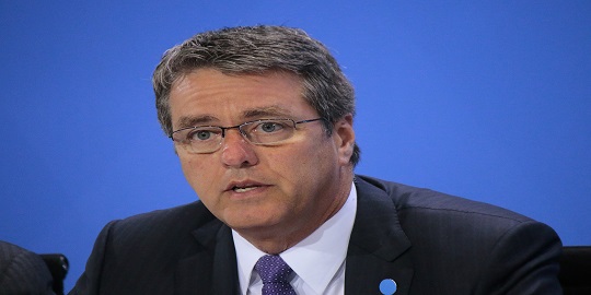 WTO chief voices concern with slow progress in key negotiating areas