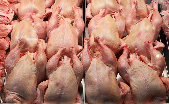 WTO rules against India in case of poultry-imports from US