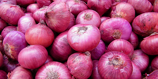 Govt hikes minimum export price of onion to check domestic market rate