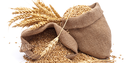 Government likely to impose 10% import duty on wheat