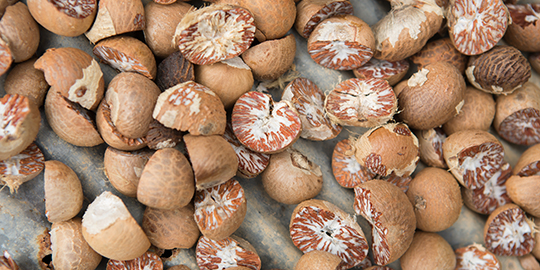 Chinese mouth freshener company to import Indian Areca nuts