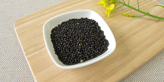 South Korea to import Indian rapeseed meal