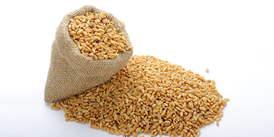 Government imposes 10% import duty on wheat