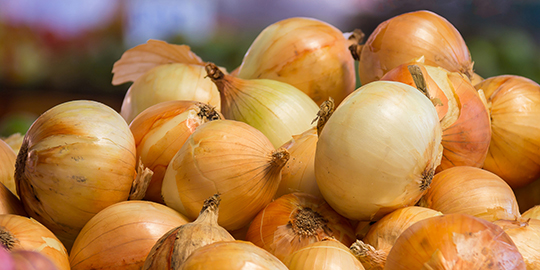 Govt expedites onion imports, raises MSP to $700/tonne