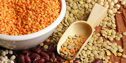 Govt control on pulses, edible oil trade to go on till Sept 2016