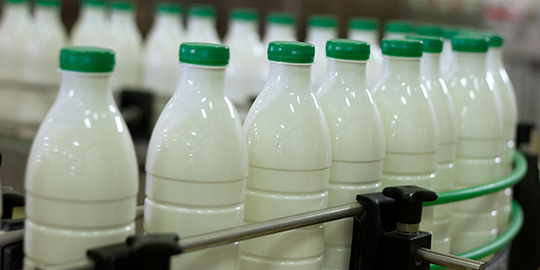 India's dairy products export flat at 30k in 2016