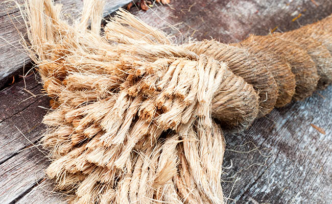 India likely to persuade Bangladesh for lifting jute export ban