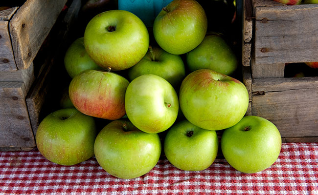Virginia firm signs deal for export of apples to India