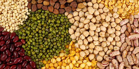 'Price of pulses to ease on harvest, action against hoarders'
