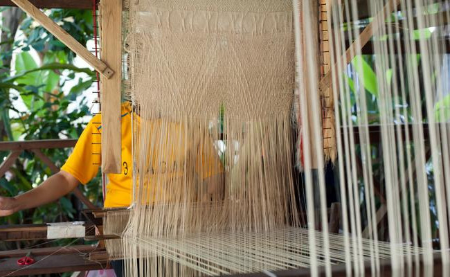 Govt introduces ERP scheme to benefit handloom weavers