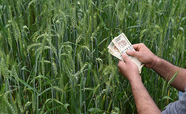 Foreign investment in agriculture sector reaches $1763.57 million