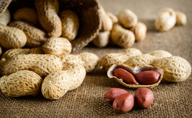 Vietnam allows groundnut imports from India