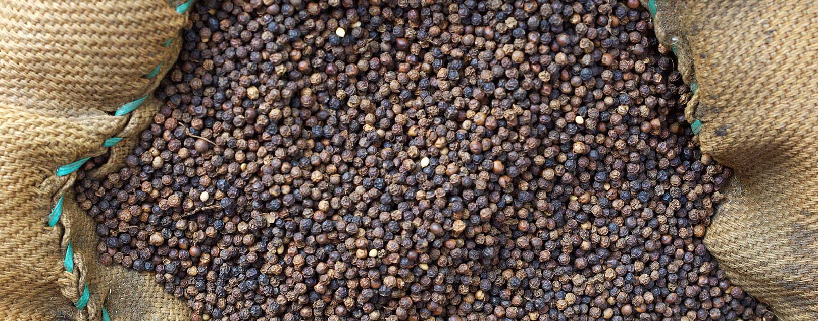 Black pepper surges on rising demand