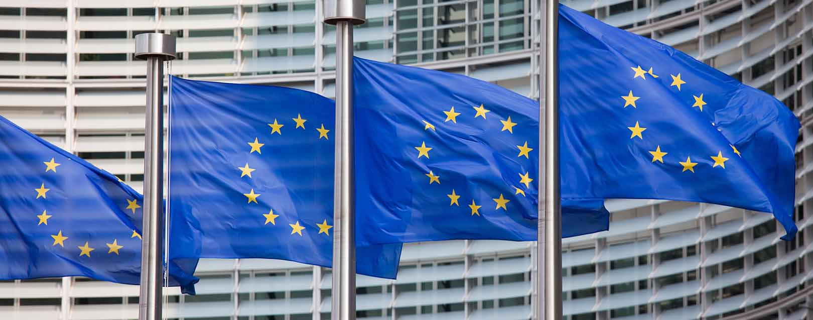 EU keen to conclude FTA talks with India