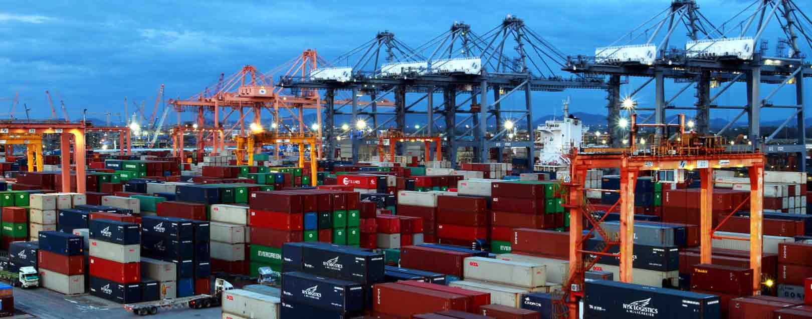 Single MEIS application soon to ease exporters