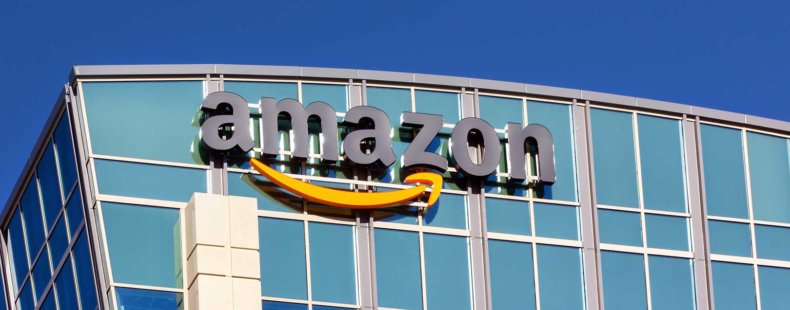 Amazon invests in India, despite e-commerce rules