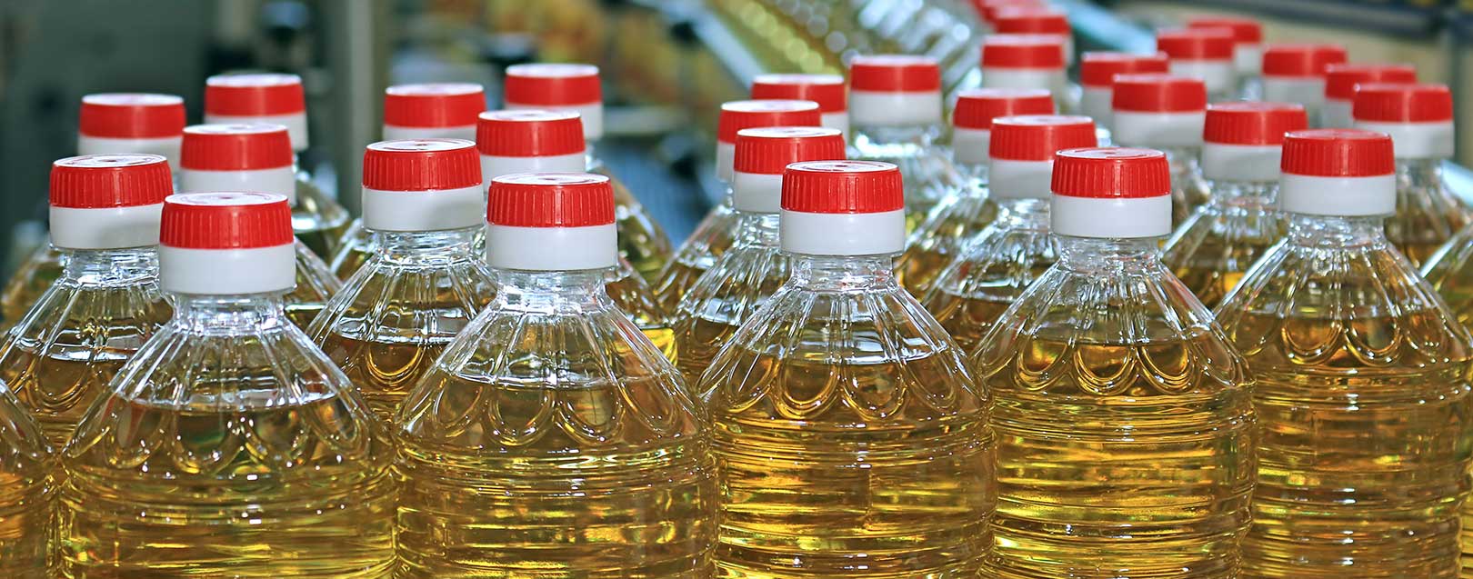Palm oil imports see a sharp rise in India