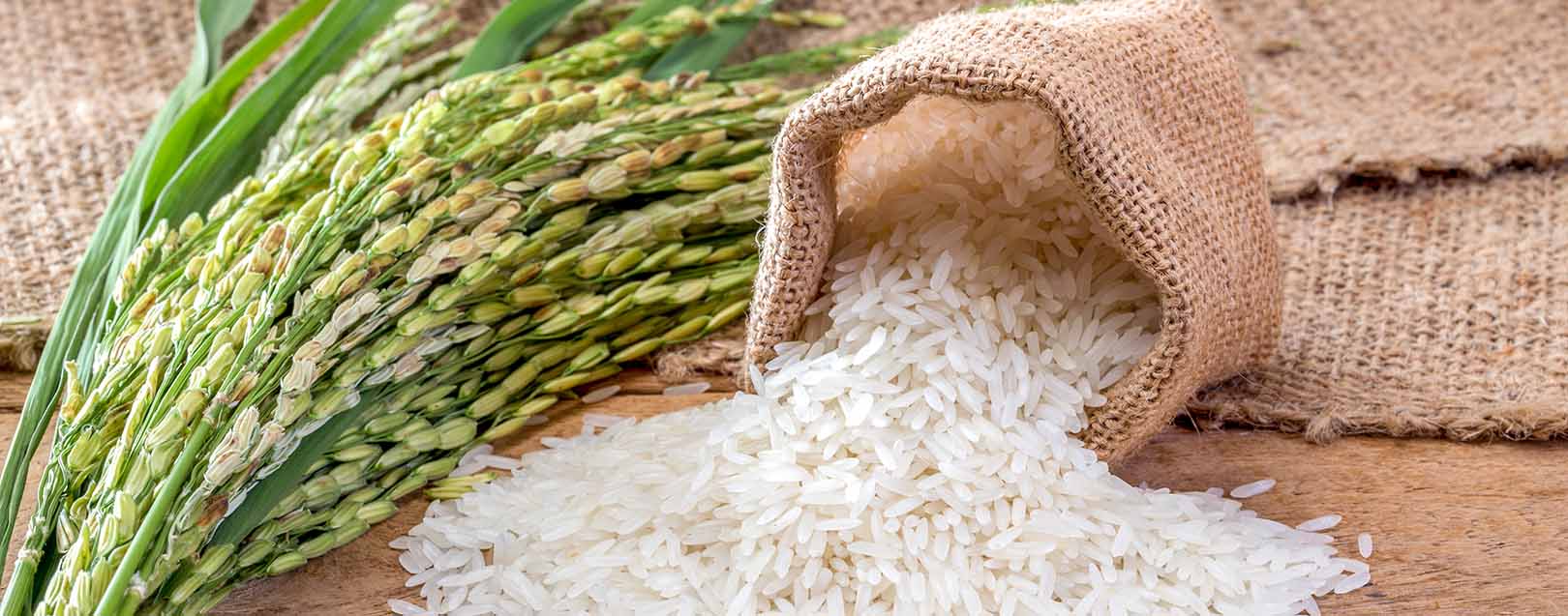 CCI clears HUL-LT Foods deal on rice exports biz