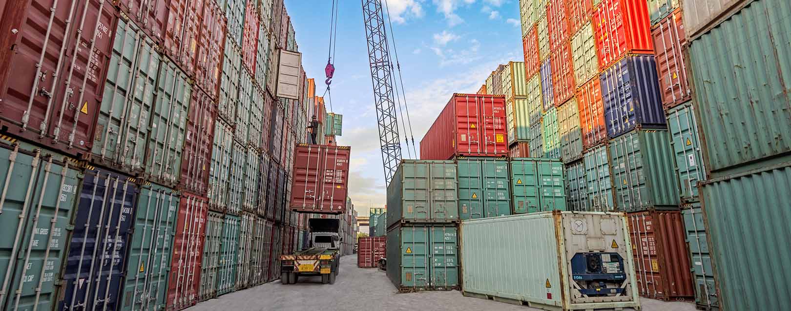 Govt working on single-window clearance to ease trade