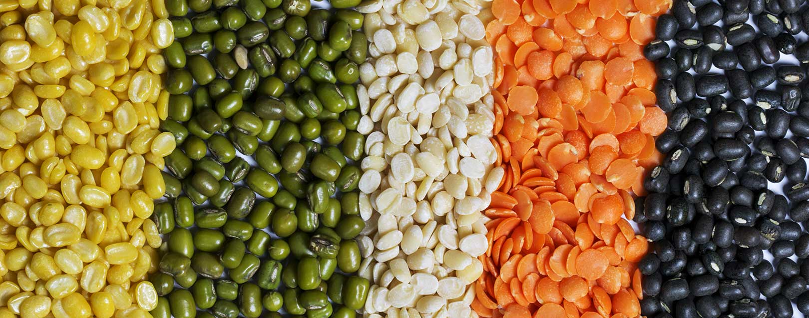 Govt. hikes MSP for pulses to boost production