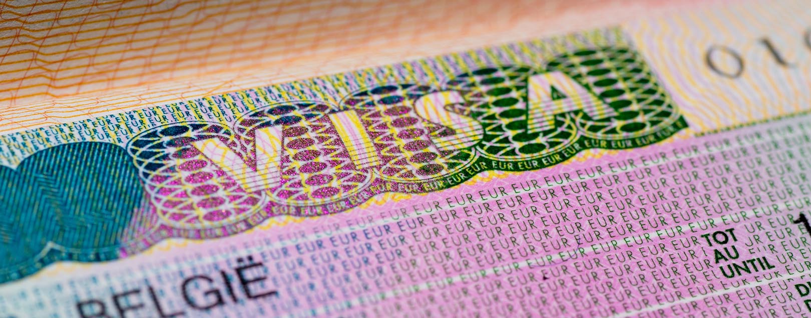 Govt to ease visa regime to boost service exports