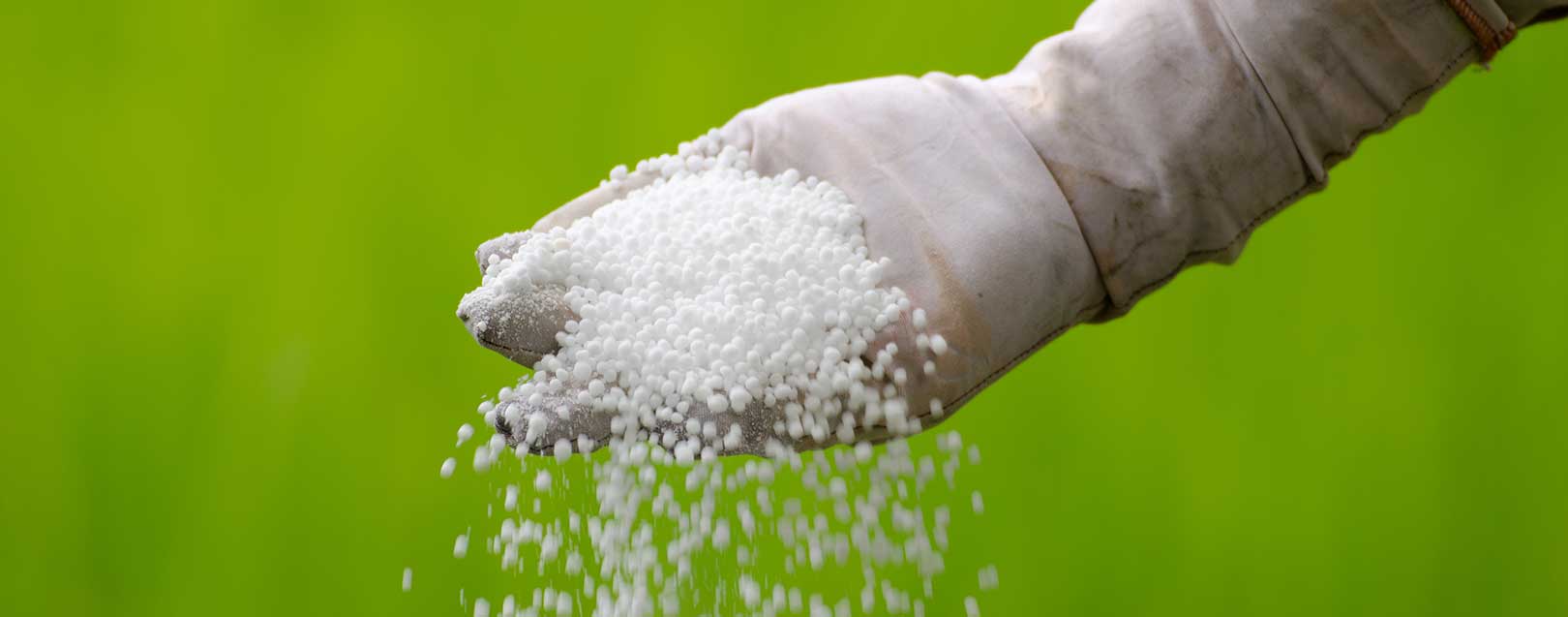Govt will not hike urea prices for the next 3 yrs