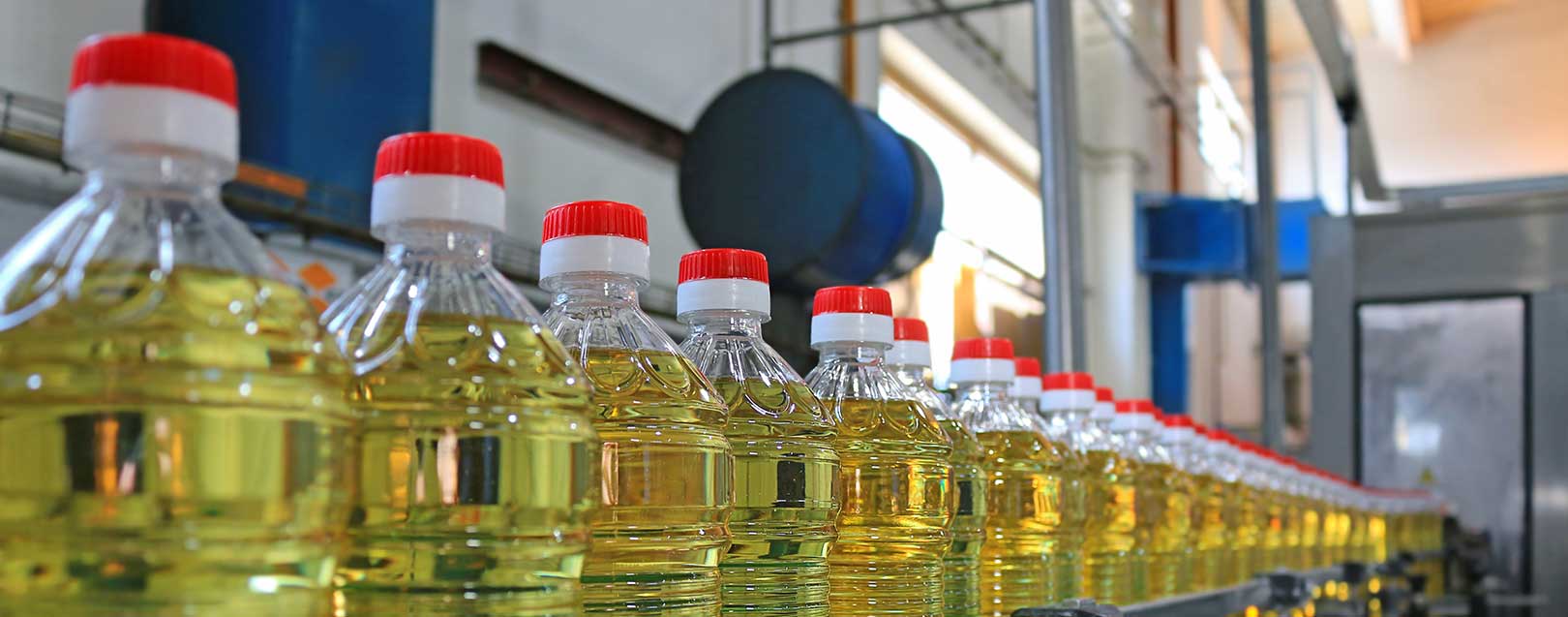 Vegetable oil imports decline by 25% in May