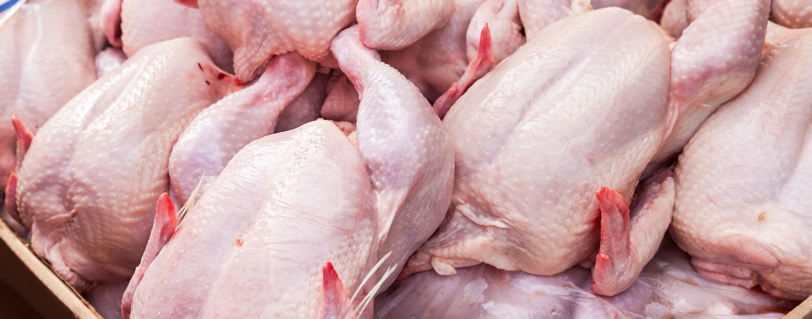 Poultry Dispute: US seeks WTO sanctions against India