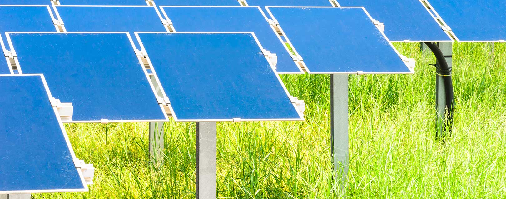 West Bengal govt plans small solar parks