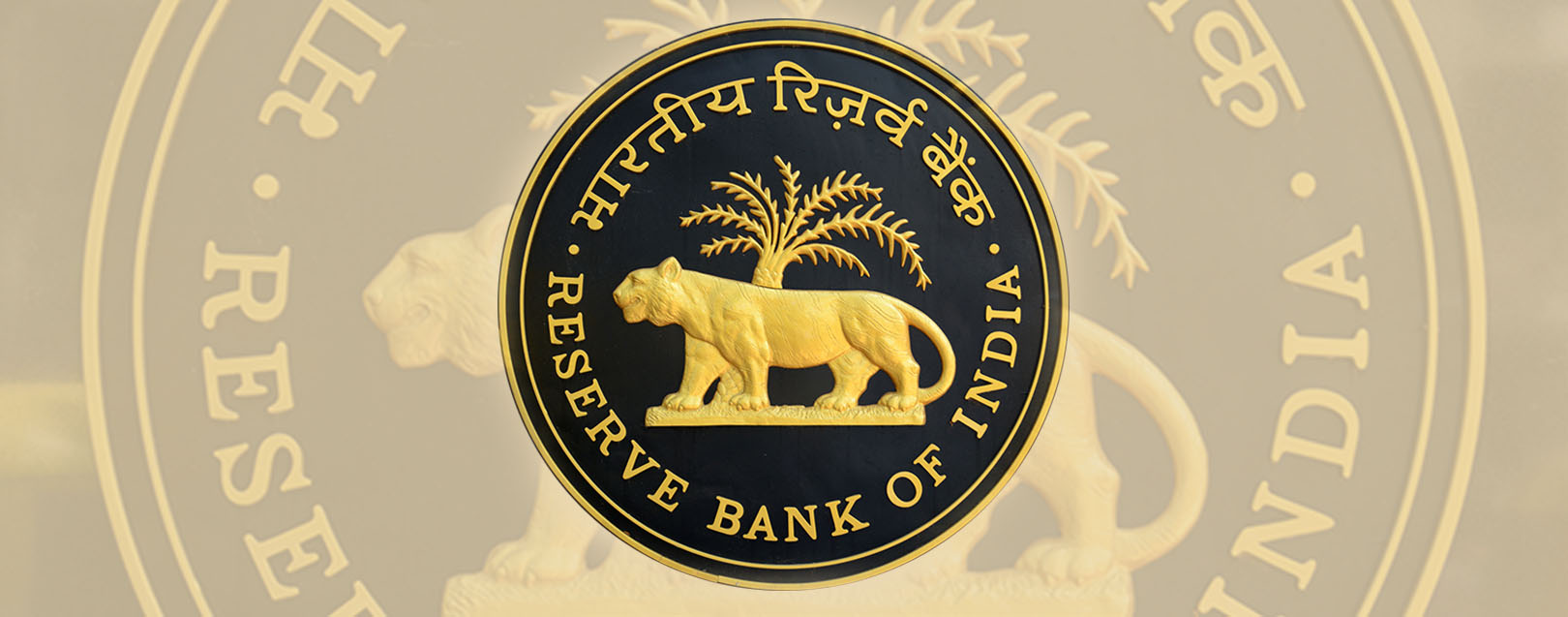 RBI allows 100% FDI in other financial services