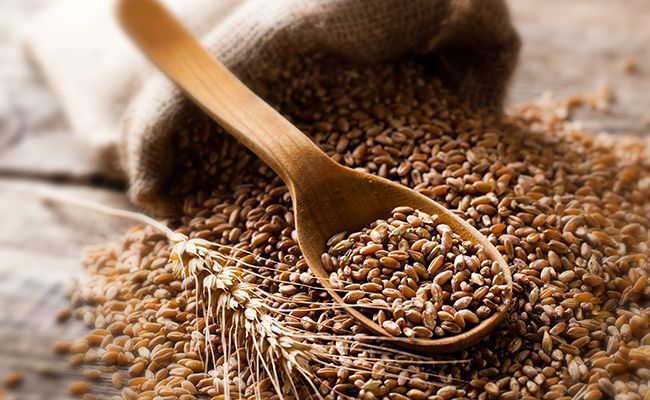 Import duty on wheat increased to 25%, to continue till March
