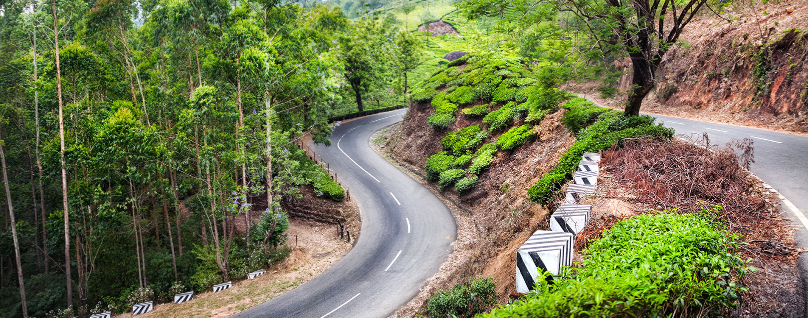 Kerala Tourism conducts roadshows in Australia