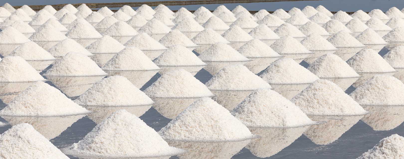 No shortage of salt in the country; price ruling normal: Govt