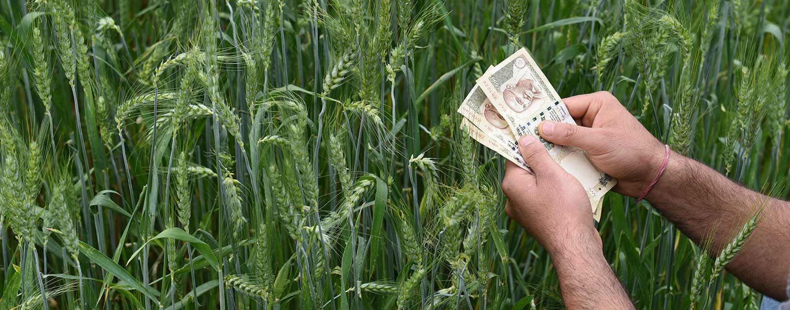Govt announces measures to help farmers post-demonitisation