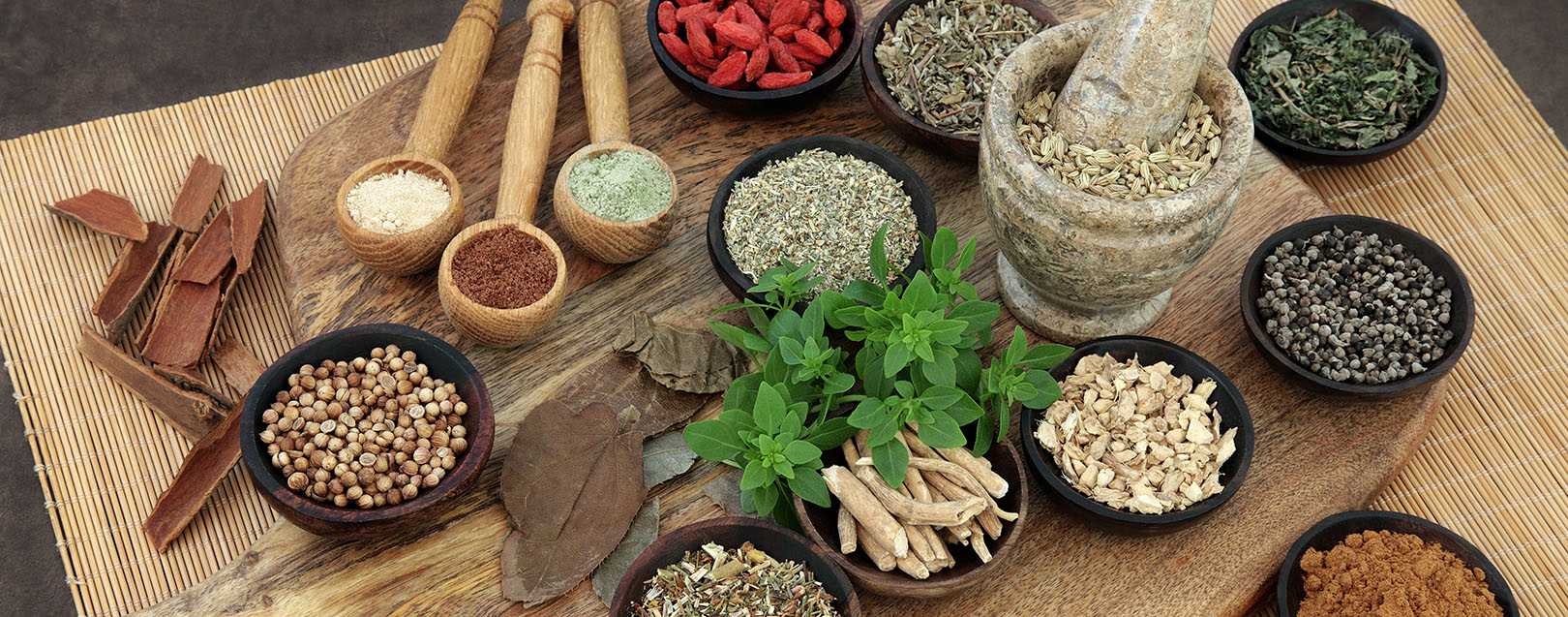 AYUSH Minister seeks inputs from global experts to turn India into Ayurveda hub