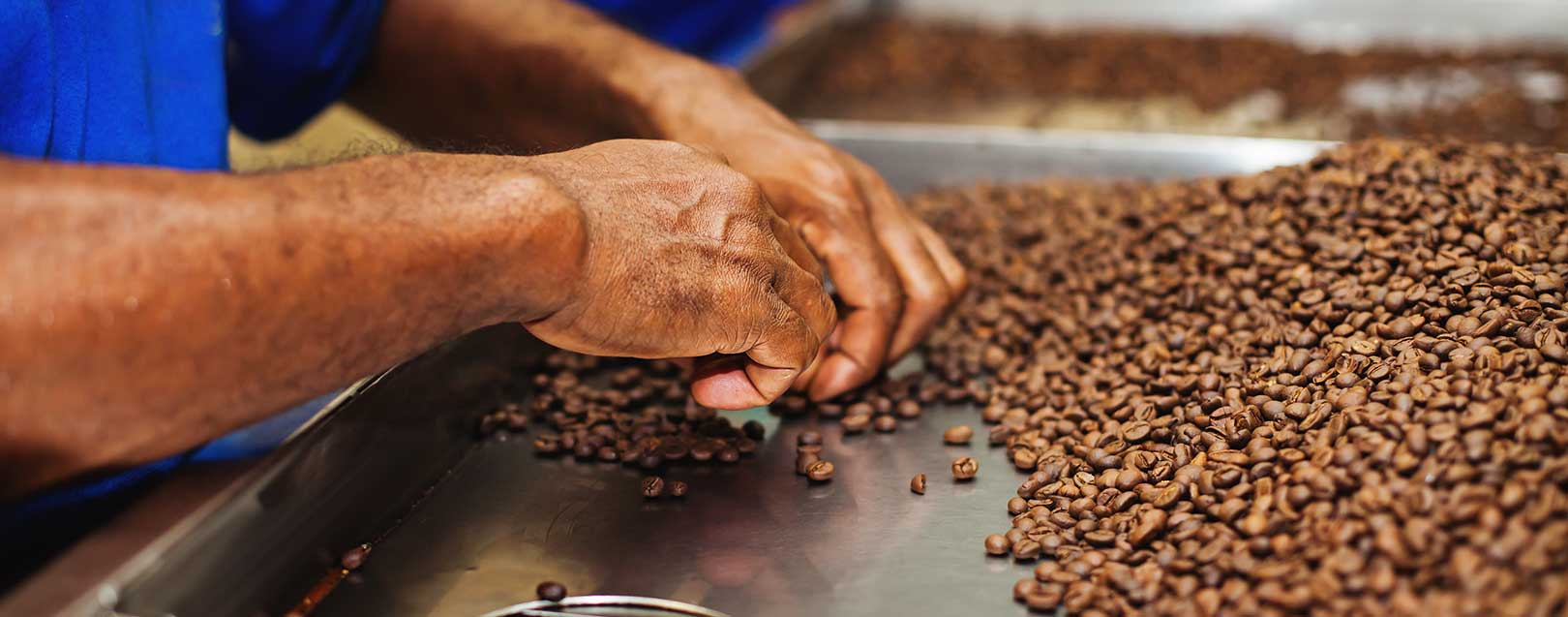 Tata Coffee to set up facility in Vietnam