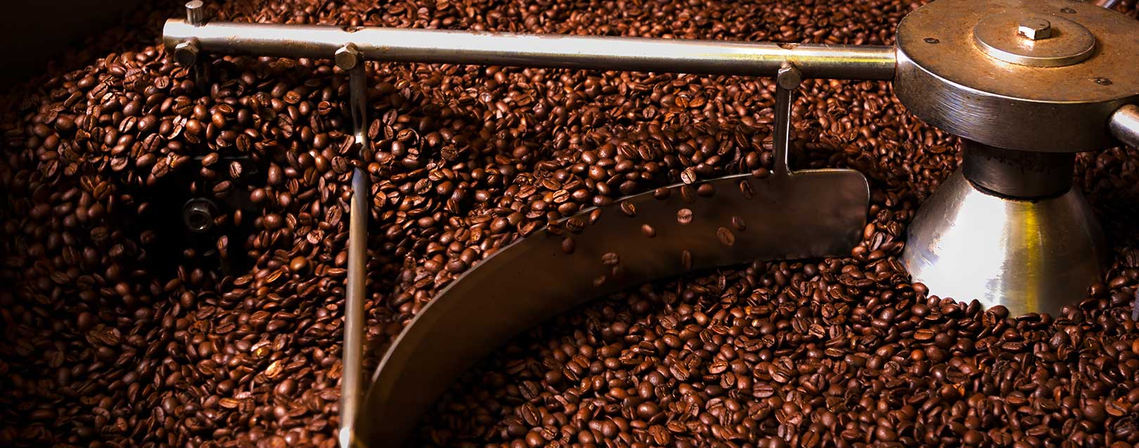 India cuts coffee production estimate for 2016-17 by 1%