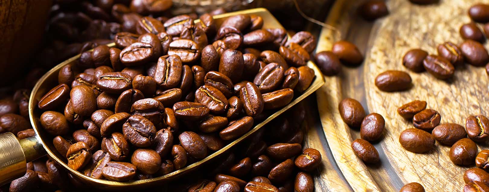 Record high productivity and good prices raise coffee exports by 18% in 2016 